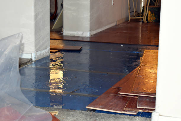 Professional Flood Damage Repair technician working in Walnut, IL